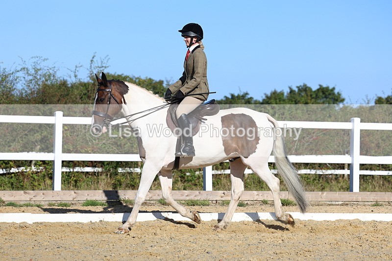 3E7A5259 - Class 8: Small Ridden Hunter
