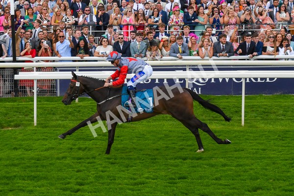 290723-Race 7-Bajan Bandit-1117 - Race 7 5.45pm Sky Bet Extra Places Every Day Handicap