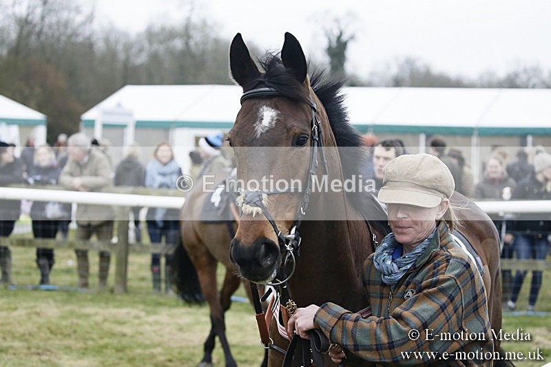 PtP 110318 9 - Hampshire Hunt Point-to-Point Hackwood Park 11/03/18