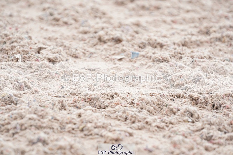 250322-115926-00281 - DR Novice 2 Test