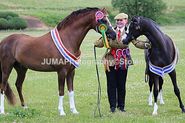 SIAL7590 - Ring 1