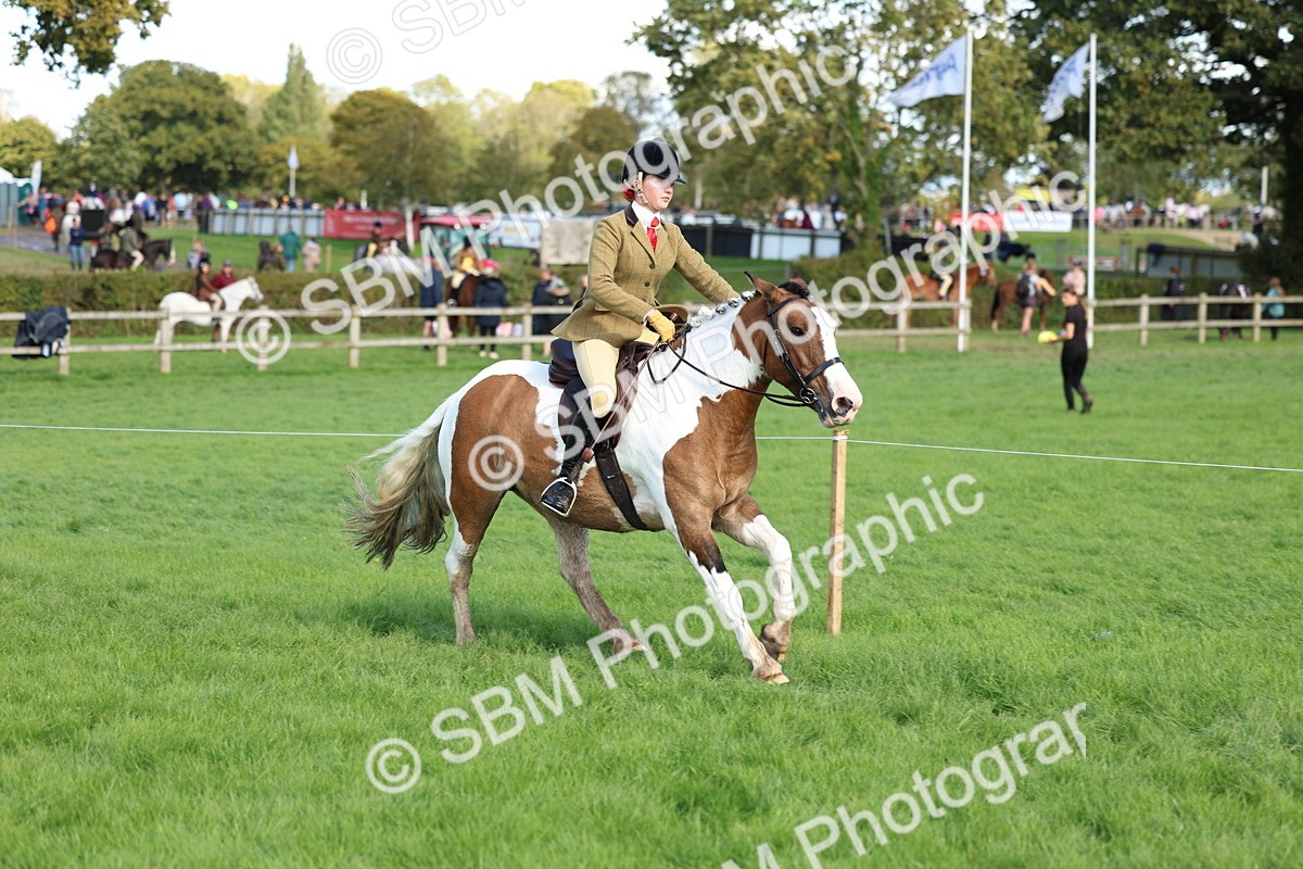 SBM_45491 - S33 - Working Hunter Pony