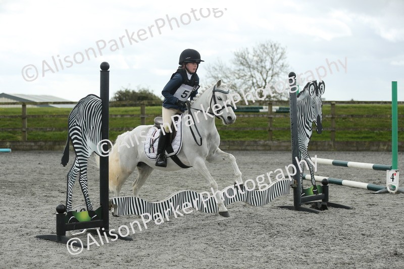 20260412-0698 - Show Jumping