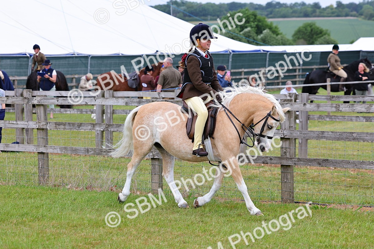 SBM_08484 - Class 42-43 - LIHS BSPS Heritage Working Sports Pony