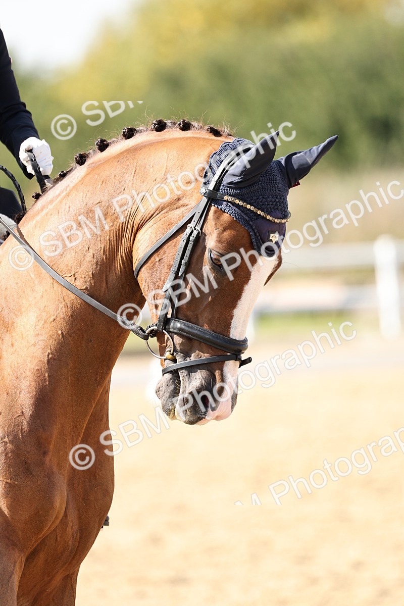 SBM_014931 - Class 7 - Medium 3