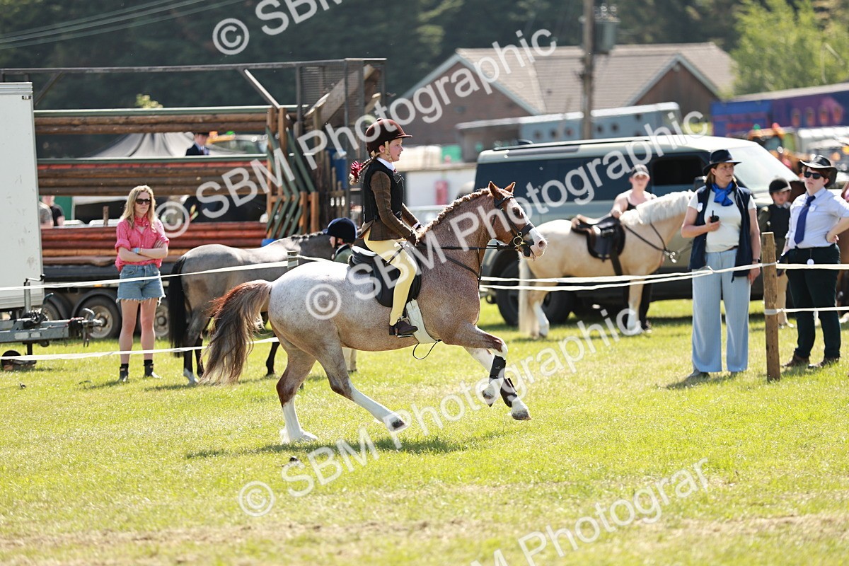 SBM_13514 - Class 108-109 - BSPS LIHS Open Gradle & Nursery Stakes