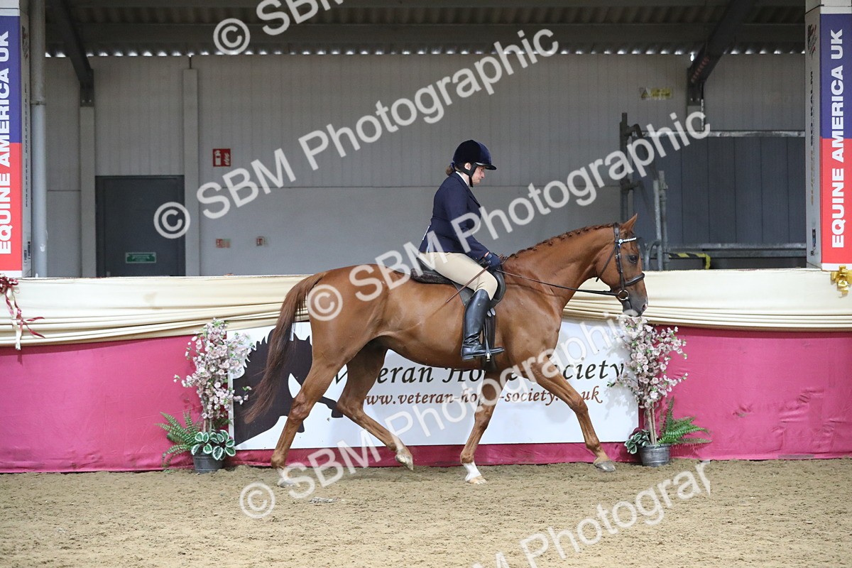 SBM_12297 - Class 108 Ridden Retired Racehorse- Pre Judging