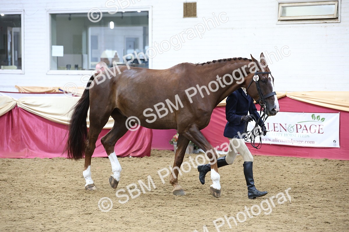 SBM_23669 - class 906 - Supreme Final - Ridden Pre Vet