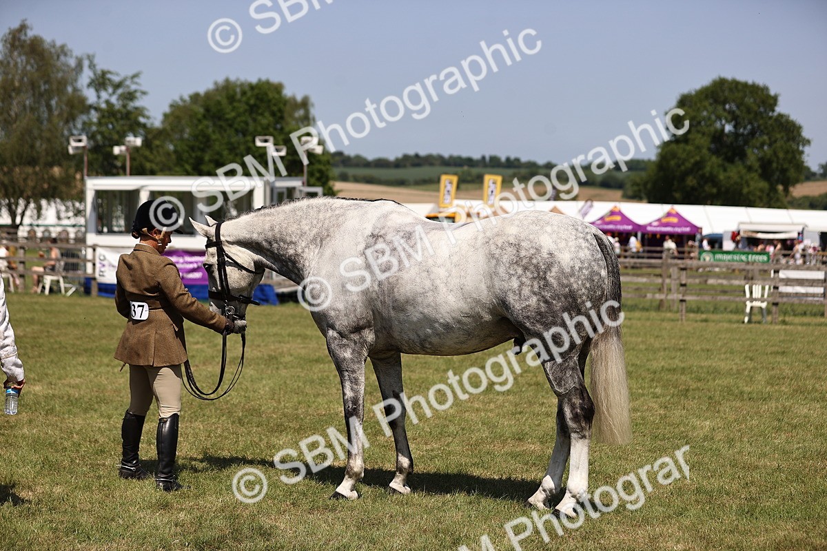 SBM_17765 - Class 81-83 - TSR Ridden Amateur of the Year - Horses