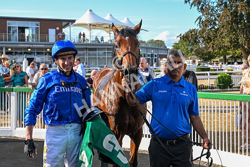 140826-Race 2-National Honour-9162 - Race 2 18.08pm JW 4x4 Northallerton Irish EBF Novice Stakes