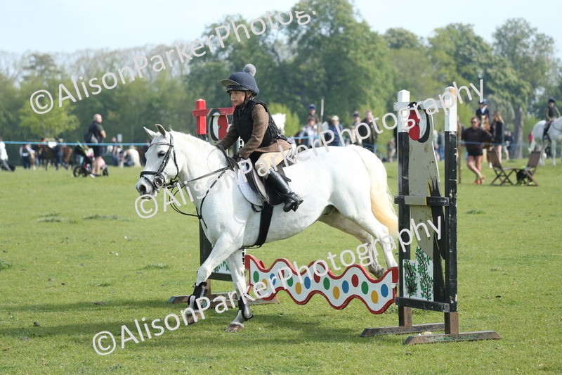 20260426-0132 - Class 13 - Rookie Jumping 50cm