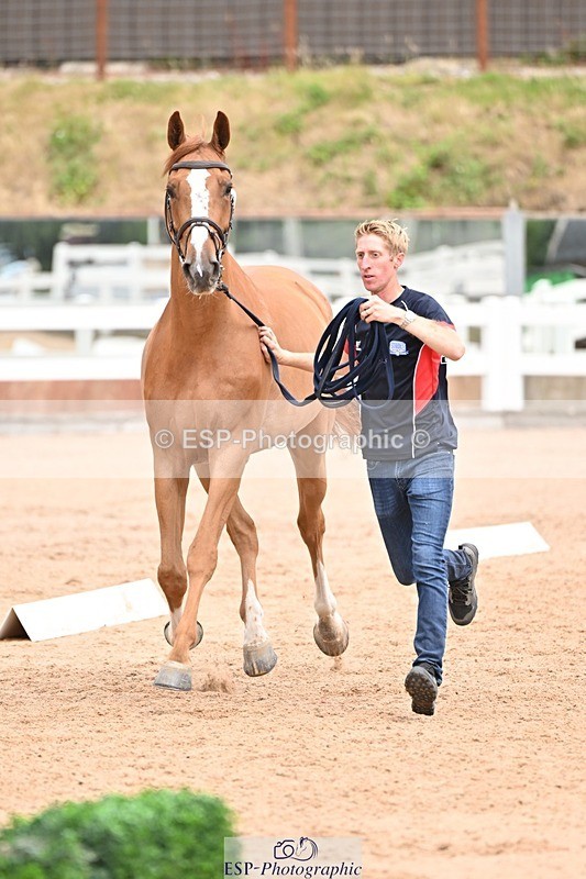 250716-144024-01287 - Trot Up 2.30 to 3.30