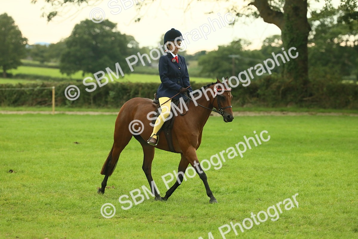 SBM_73953 - S 61 - Show Pony & Show Hunter Pony Ridden