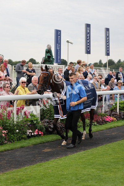 yr20082021r4-124 - Race 4 3.35pm Coolmore Wootton Bassett Nunthorpe Stakes (British Champions Series Race)