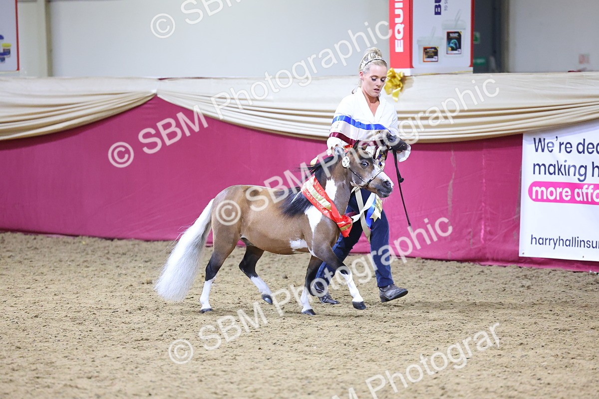 SBM_18716 - Class D IH Pony Champ
