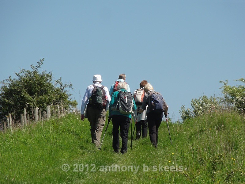 005 After Pocklington Wood heading for Grimthorpe Wood - SAINT PAULINUS PILGRIMAGE TRAIL