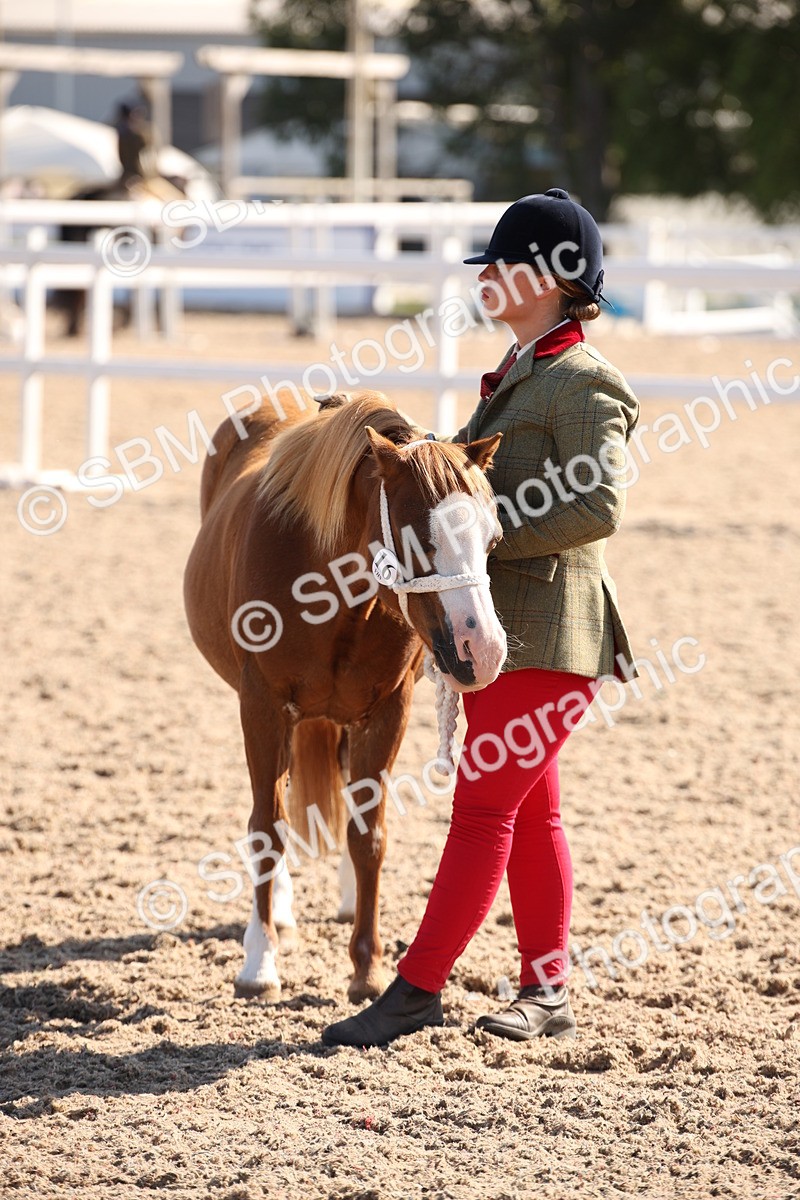 SBM_02727 - Class 16 IH M&M Wildcard