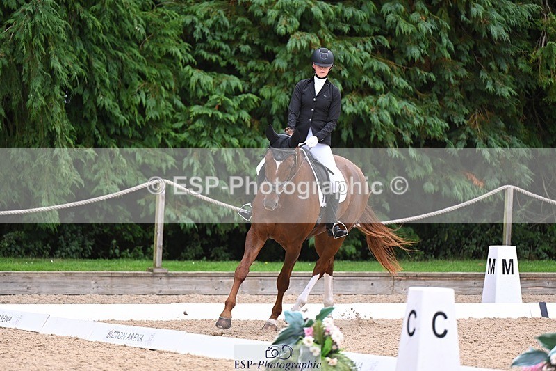 240809-121702-00728 - 185-Daisy.Hedges-Felicia.v