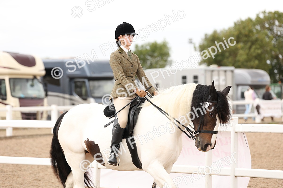 SBM_19630 - Class 216 - Ridden Traditional - Native Cob