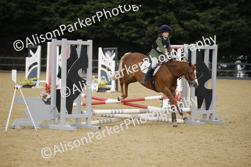 20250622-1511 - 40cm