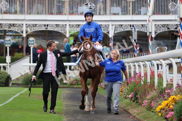 yr22072022r2-45 - Race 2 5.50pm eventmasters.co.uk Stakes