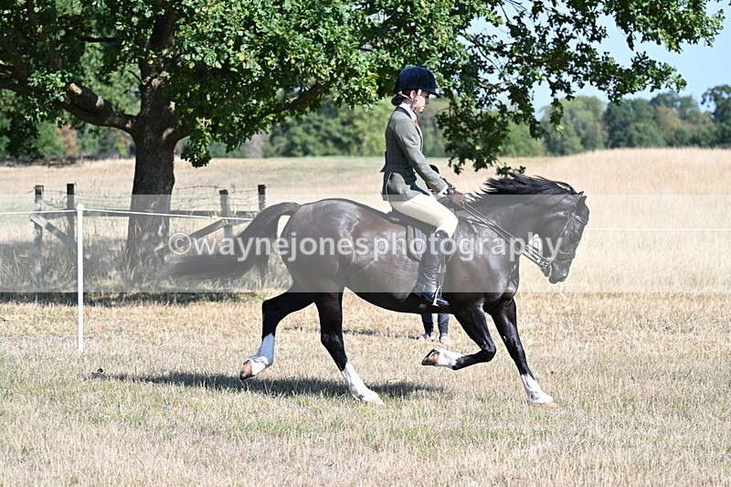 WJ7_3722 - Class 9 Mountain & Moorland Ridden