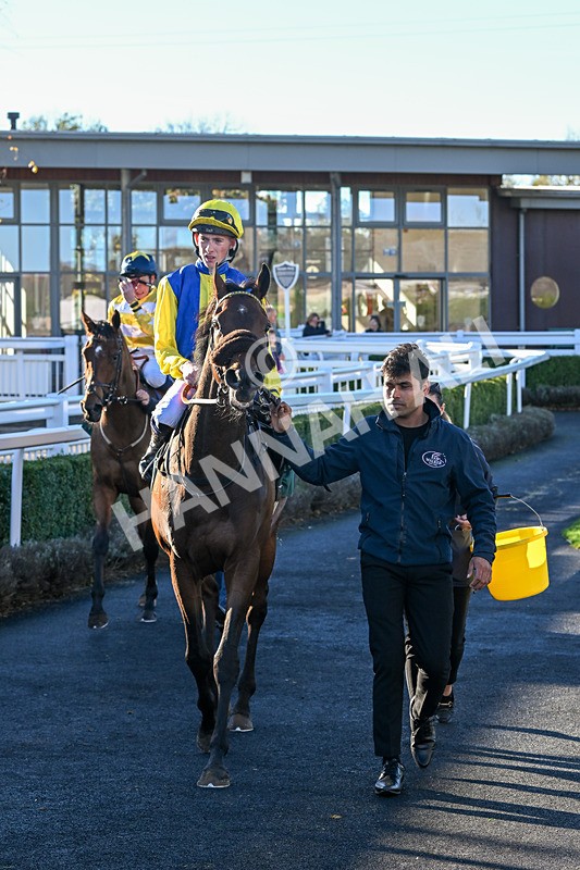 291024-Race 3-Kings Scholar-5965 - Race 3