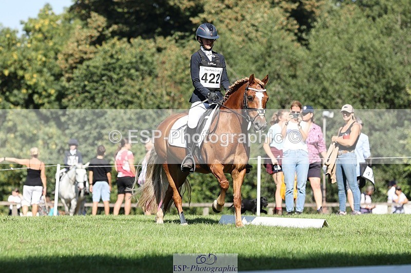 250823A-103840-27762 - Arena D