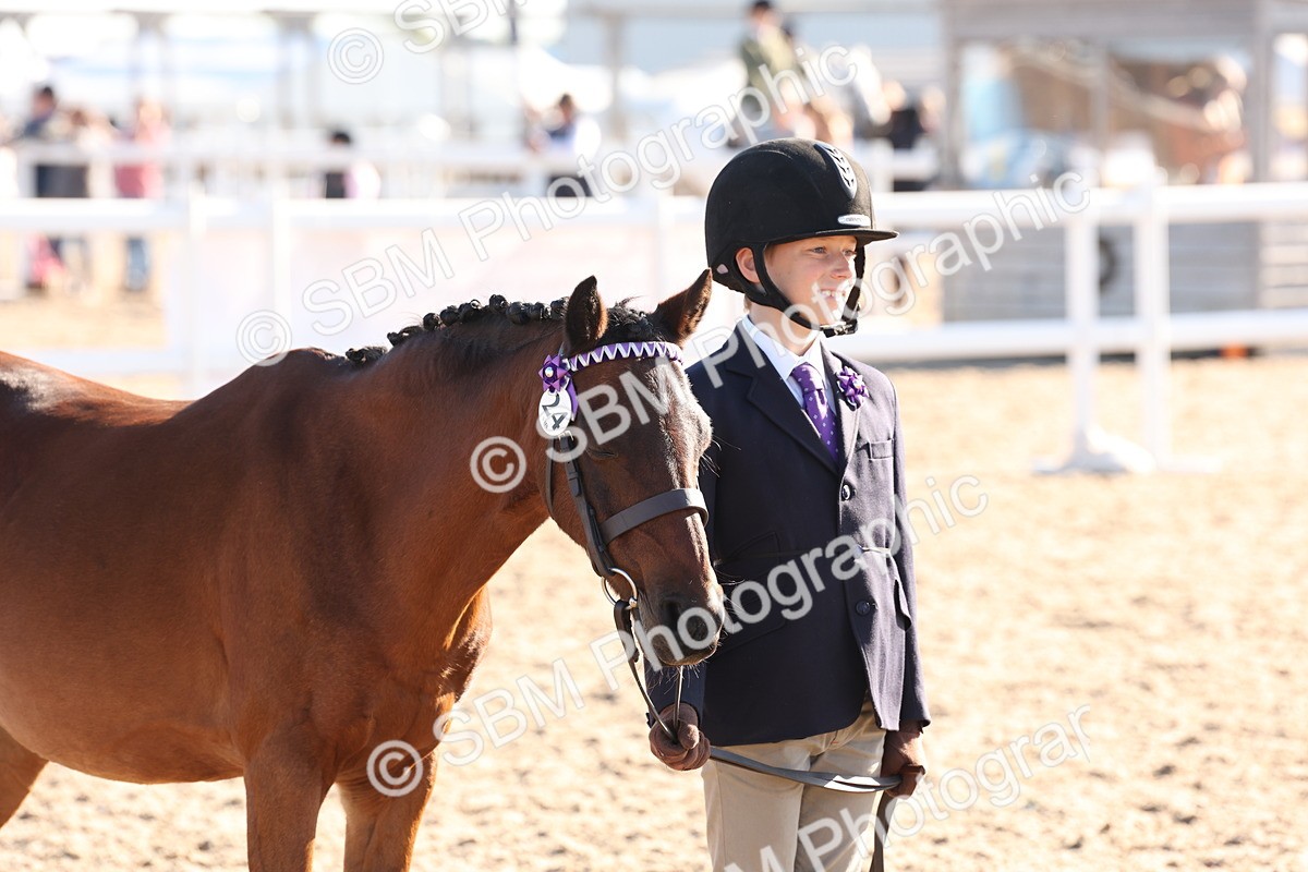SBM_11673 - Class 203 - Young Handler 11 to 16 years