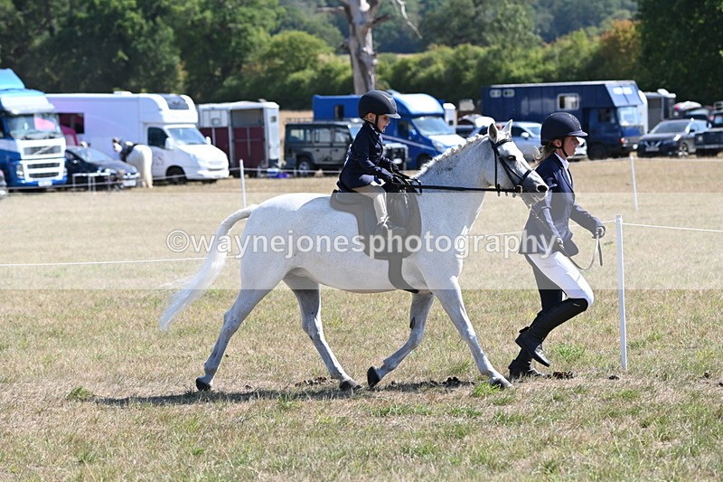WJ6_7764 - Class 36 Lead Rein