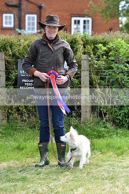 WJ5_0827 - Best in Show Championship