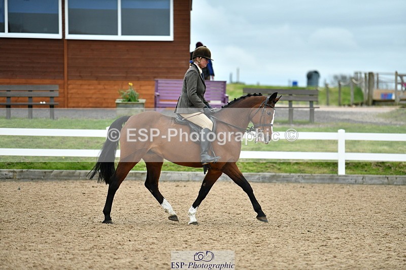230416A-143356-05267 - Cls 74 Warmblood