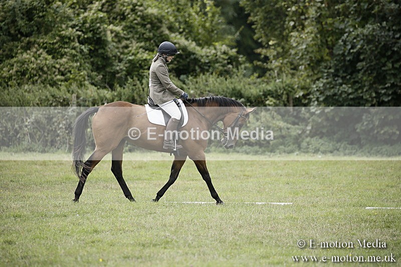 BVR080918 209 - BVRC Novice Dressage & CR 08/09/18