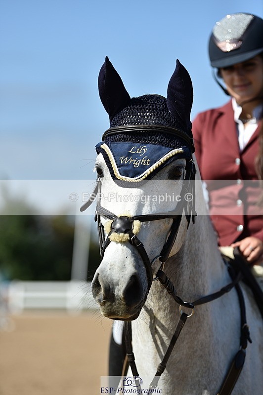 230903A-113524-04217 - Cls 18 Pony Brit Novice & 80cm Open