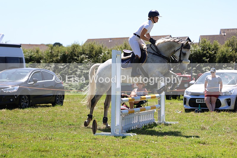 3E7A5570 - Class 9: Senior British Novice/90cm open