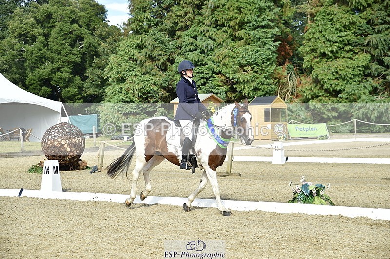 250720A-164048-12532 - Sunday Presentations