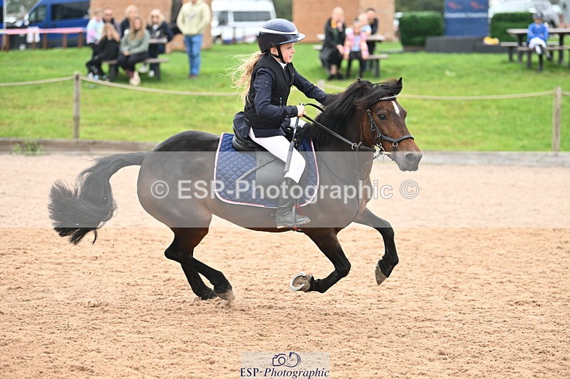 240907A-122756-01628 - Cls 3 Pony Medium Team 80cm & 90cm