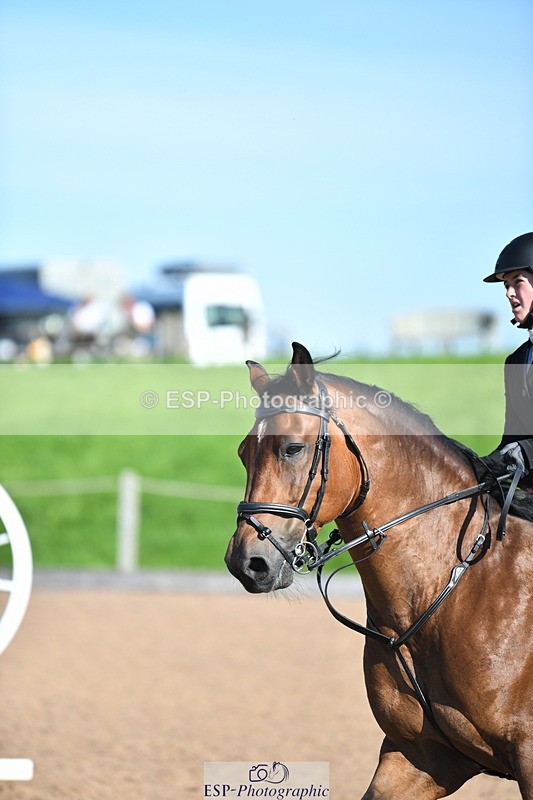 230903A-101110-03623 - Cls 12 95cm Amateur Quali