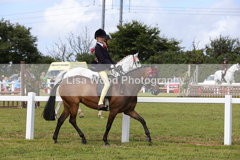 1X9A3880 - Class 31: Show Pony 148cm and under