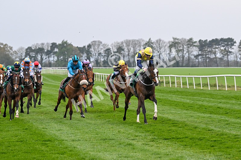 120425-Race 6-Musical Touch-1470 - Race 6