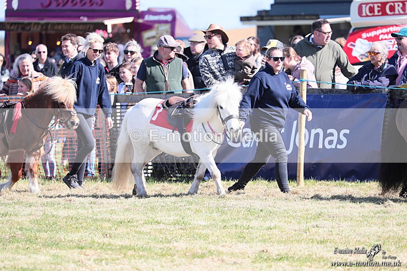 Shet 060426 17 - Shetland Pony Racing Paxford Races Easter Mon 06/04/26