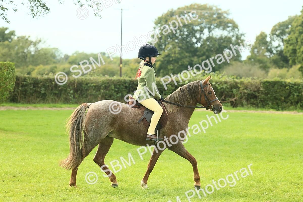SBM_69803 - S59 - Mountain & Moorland Ridden Small Breeds