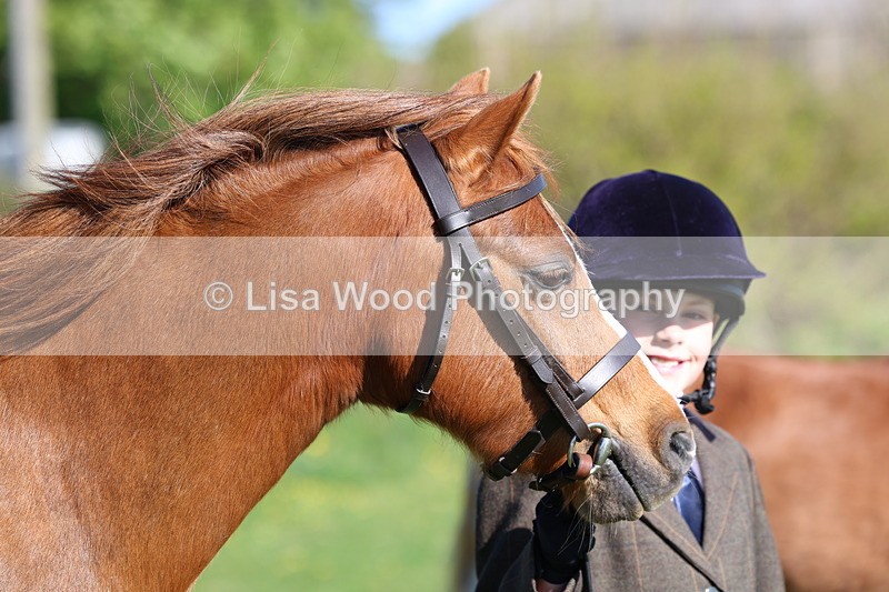 3E7A8438 - Class 12: M & M Small Breeds