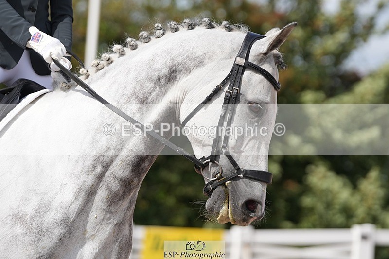 250906-123806-02408 - 072-Jan.ChoppingSeal