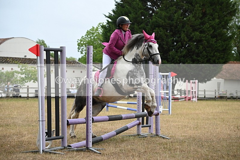 WJ6_0085 - Class 13 Novice Jumping 60cm
