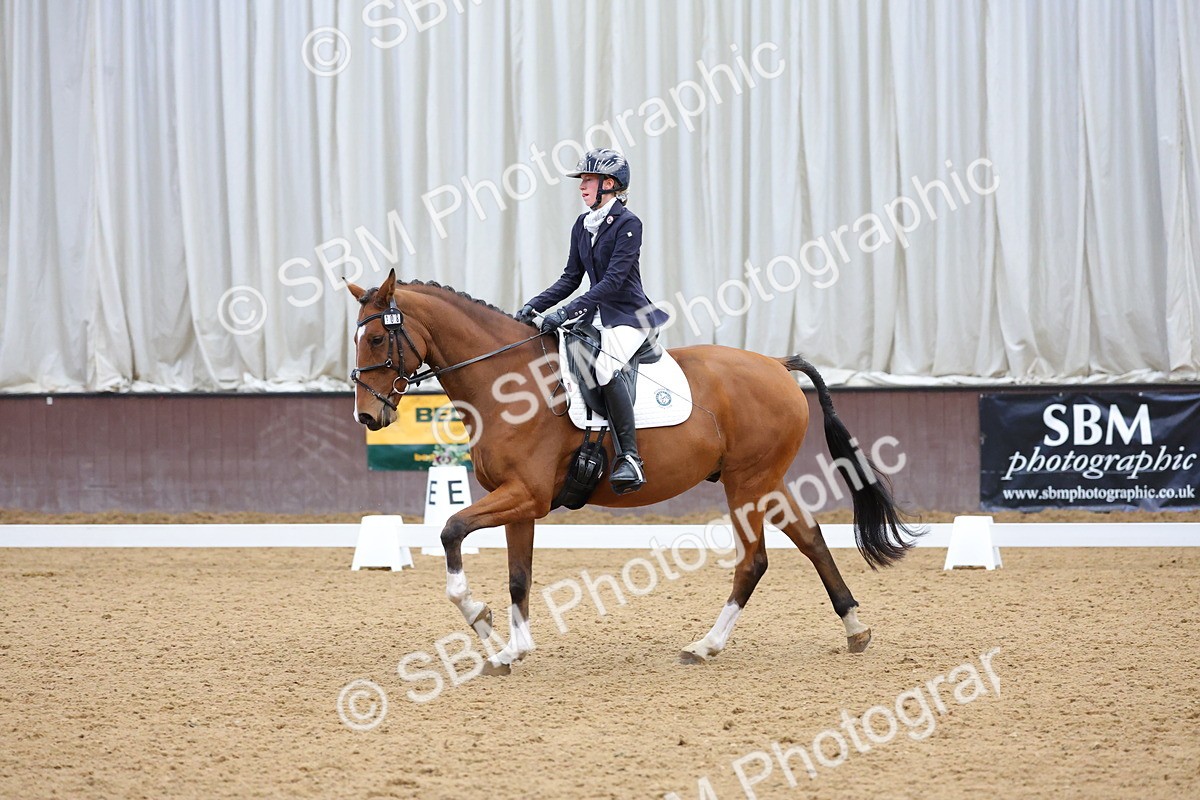SBM_003053 - Novice