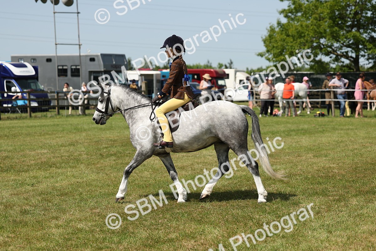 SBM_05333