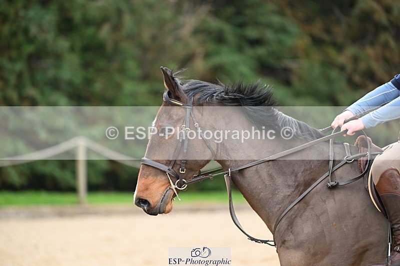 250309A-092954-00194 - Cls 01 70cm 09.00 to CW