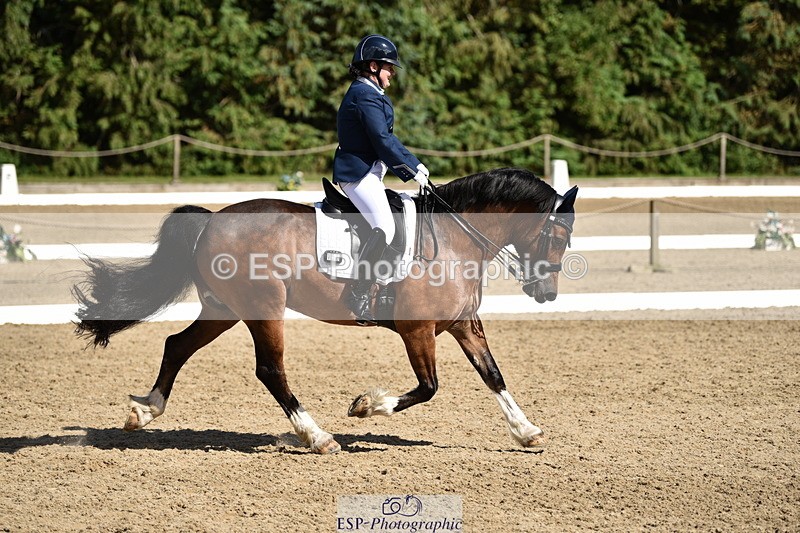 140110A-050418-12370 - 158-Alison.Crimp-Crwys.Beau