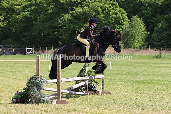 IMG_4287 - Working Hunter